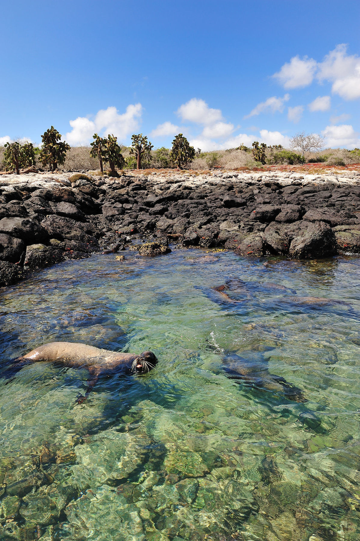 Pikaia Lodge Santa Cruz Island Zewnętrze zdjęcie